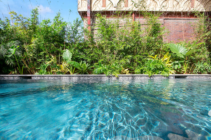 Sunlit clear-blue backyard pool with rippling water, framed by lush bamboo and tropical plants against a brick wall — a refreshing urban oasis.