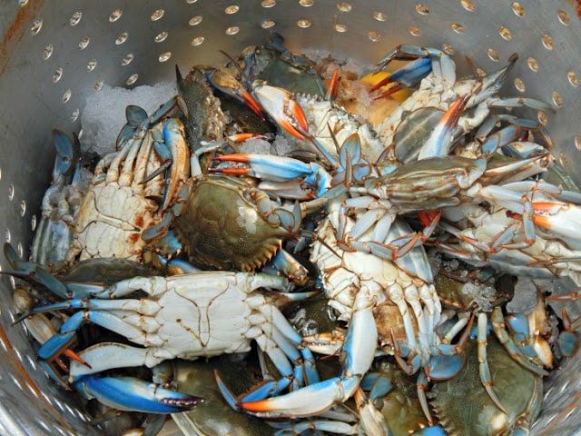 NOLA-Style Seafood Catering Experience image 4