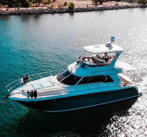 Aerial view of a white luxury motor yacht anchored in sunlit turquoise water near a rocky coastal shoreline with palm trees, shimmering surface visible.