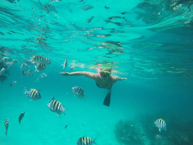 Snorkeler with bright mask and fin swimming underwater in clear turquoise ocean, surrounded by a school of striped tropical fish.