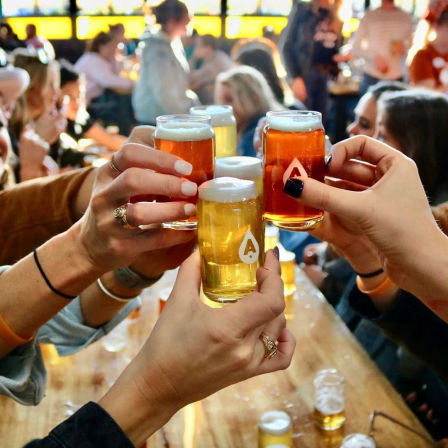 Hands clinking craft beer tasting glasses in a lively brewery taproom — amber and pale beer flight toast.