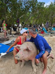 Couple in swimsuits kissing over a large sandy pig on a tropical beach with lounge chairs and trees, playful vacation scene