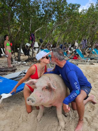 Couple in swimsuits kissing over a large sandy pig on a tropical beach with lounge chairs and trees, playful vacation scene