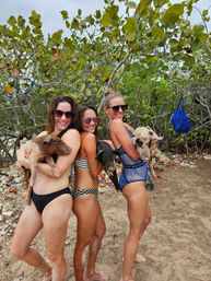 Three women in swimsuits holding piglets on a sandy tropical beach beneath sea grape trees — playful island vacation scene.