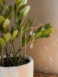 Sunlit leafy potted indoor plant with a gold crescent-moon and crystal prism earring, white textured planter, and rainbow light speckles on the wall.