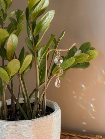 Sunlit leafy potted indoor plant with a gold crescent-moon and crystal prism earring, white textured planter, and rainbow light speckles on the wall.