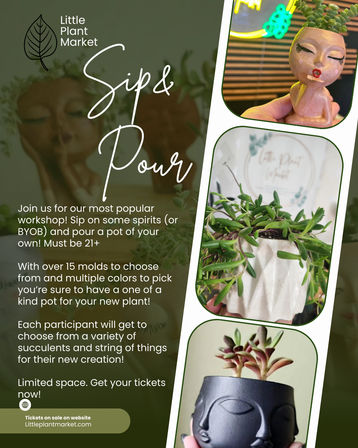 Flyer for a 'Sip & Pour' succulent workshop: collage of hands holding decorative ceramic face planters and geometric pots with succulents, with text about a BYOB 21+ DIY planter-pouring event, multiple molds and colors, and ticket info.
