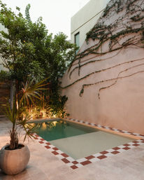 Private courtyard pool with red-and-white checkerboard tile border, pale terracotta wall draped in trailing vines, potted palm and lush tropical plants creating a cozy urban oasis.