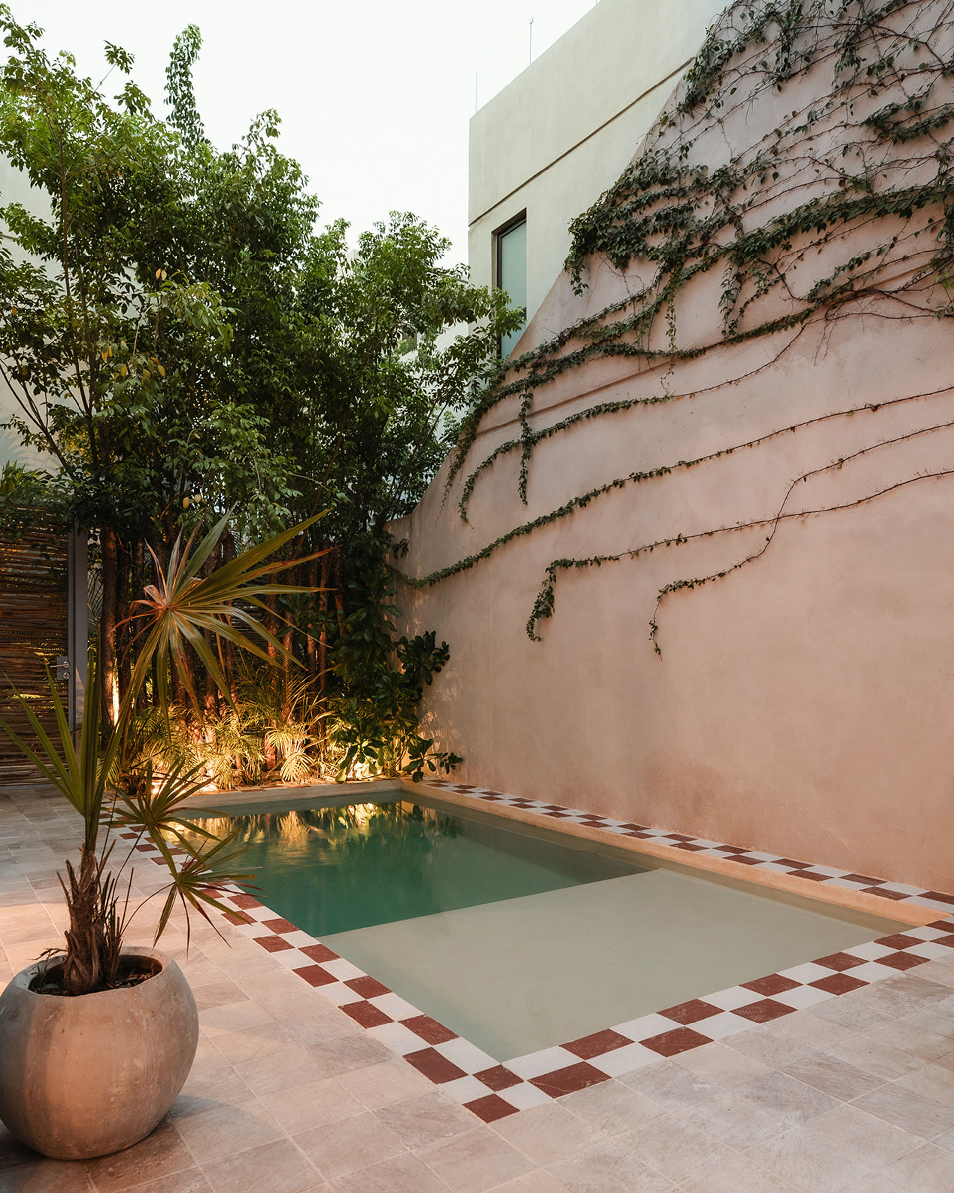 Private courtyard pool with red-and-white checkerboard tile border, pale terracotta wall draped in trailing vines, potted palm and lush tropical plants creating a cozy urban oasis.