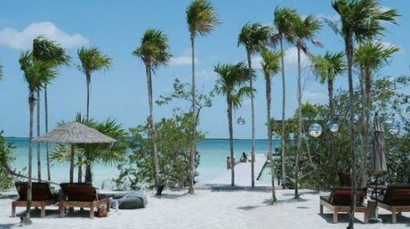Relaxed white-sand tropical beach with tall palm trees, turquoise sea, wooden lounge chairs and shaded umbrellas, and a sandy path leading to a small pier in the distance.