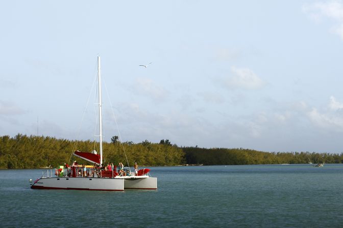 Red-and-white catamaran with passengers sailing on a calm turquoise tropical inlet by a mangrove-lined shoreline under a clear blue sky with a flying seagull