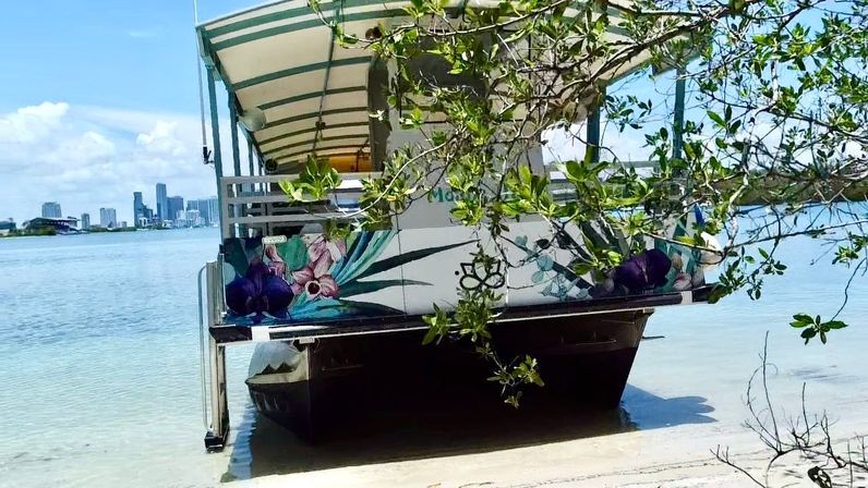Pontoon boat with colorful floral mural beached on a sandy tropical bay under mangrove branches, calm blue water and a distant urban skyline.