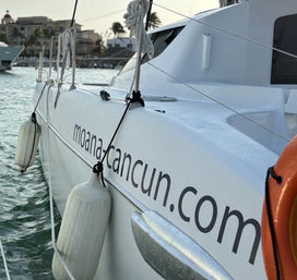 White catamaran docked in a Cancun marina, showing hanging white fenders, orange lifebuoy, calm turquoise water and palm-tree waterfront buildings in the background.