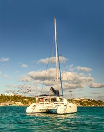 Sunlit white catamaran anchored in turquoise water off a tropical island coastline, palm trees and seaside houses on shore and seagulls flying under a clear blue sky.
