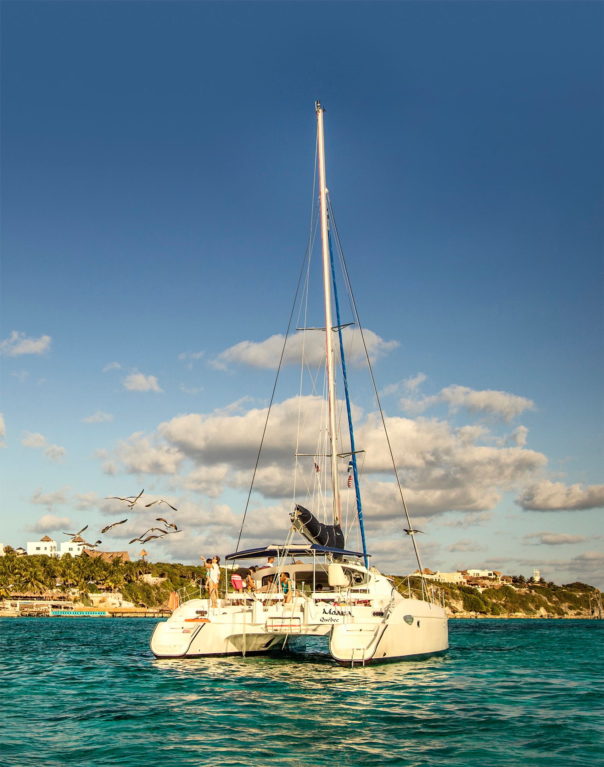 Sunlit white catamaran anchored in turquoise water off a tropical island coastline, palm trees and seaside houses on shore and seagulls flying under a clear blue sky.