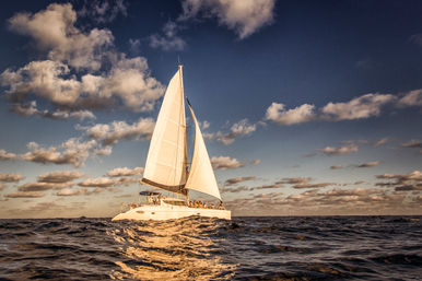 Sunlit white sailing catamaran on the open ocean at golden hour, billowing sails against a dramatic cloud-filled sky