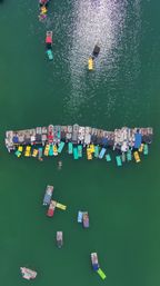 Aerial shot of a busy summer lake: a long dock lined with pontoon boats and bright yellow and teal floating pads, sun sparkling on emerald water with swimmers and anchored boats
