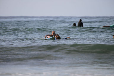 Surfers paddling on surfboards in the calm blue ocean with gentle rolling waves and a distant horizon, coastal beach scene.
