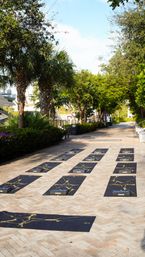 Rows of black yoga mats with gold-marble patterns set up for an outdoor yoga class on a sunlit waterfront walkway lined with palm trees and tropical greenery near a marina.
