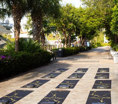 Rows of black yoga mats with gold-marble patterns set up for an outdoor yoga class on a sunlit waterfront walkway lined with palm trees and tropical greenery near a marina.