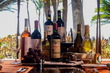 Wine tasting setup with assorted red, white and rosé bottles, wine glasses, plate of grapes and corkscrew on a wooden table on a sunny tropical patio overlooking palm trees and the ocean.