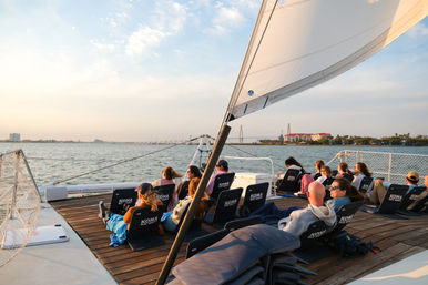 Sunset cruise on a sailing catamaran with passengers lounging in deck chairs under a large white sail, cruising past a coastal harbor and cable-stayed bridge.