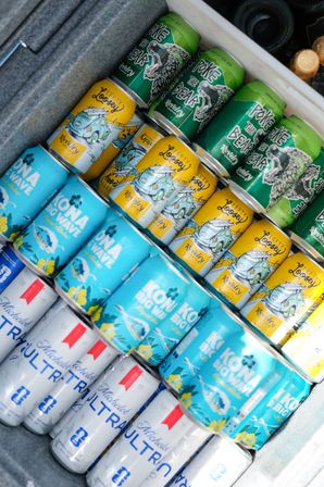 Chilled cooler stacked with colorful canned beers — turquoise tropical ale, yellow surf-themed craft cans, green bear-label IPA and white light-lager cans neatly arranged.