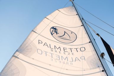 Sunlit white sail on a sailboat featuring a palm-tree logo and stylized lettering, mast and rigging set against a clear blue sky
