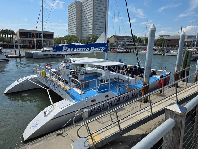 Blue-and-white catamaran passenger boat docked at a sunny city marina pier, open deck with rows of seats and a blue canopy, pilings and waterfront buildings in the background, ready for a harbor cruise.
