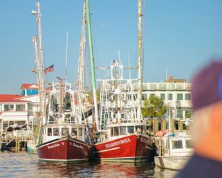 Two red fishing boats docked side-by-side in a sunlit coastal marina, masts and rigging against a clear blue sky, American flag and waterfront buildings with a palm tree reflected in calm water.