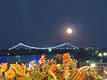 Full moon rising over a sparkling, lighted suspension bridge at night with city lights across the river and colorful balcony flowers in the foreground.