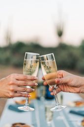 Two hands clinking champagne flutes in an outdoor sunset toast over a picnic table — bubbly celebration, cheers moment
