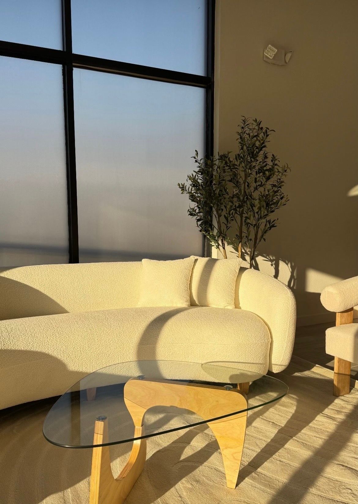 Sunlit loft-style living room with a curved cream boucle sofa and cushion, glass-and-wood coffee table, tall potted plant, and large frosted window casting warm shadows.