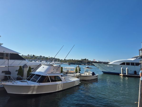 White yachts and smaller boats docked in a sunny coastal marina under a clear blue sky with calm harbor water and distant shoreline