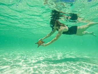 Snorkeler in a black swimsuit reaching in crystal-clear turquoise tropical water to hold an orange-brown starfish above a rippled sandy seabed