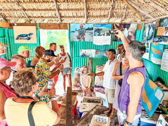 Tourists crowd a thatched-roof beachside turtle conservation hut as a guide shows small sea turtles while visitors take photos.
