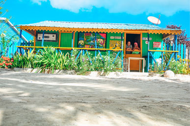 Colorful green, yellow and blue tropical beach shack on a sandy shore, surrounded by flowering plants, two people leaning in the doorway under a bright blue sky and a satellite dish