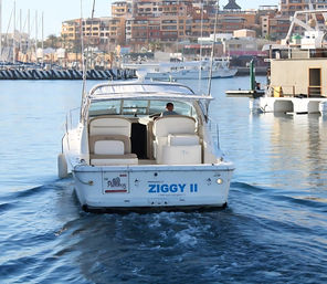 White motorboat cruising away from a sunny marina, leaving a rippled wake in blue harbor water with waterfront condos and moored yachts in the background.