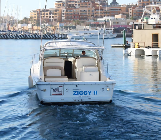 White motorboat cruising away from a sunny marina, leaving a rippled wake in blue harbor water with waterfront condos and moored yachts in the background.