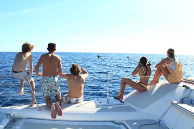 Group of five people on a catamaran deck watching whale tails in the open blue ocean on a sunny day, one using binoculars.