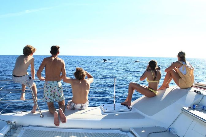Group of five people on a catamaran deck watching whale tails in the open blue ocean on a sunny day, one using binoculars.