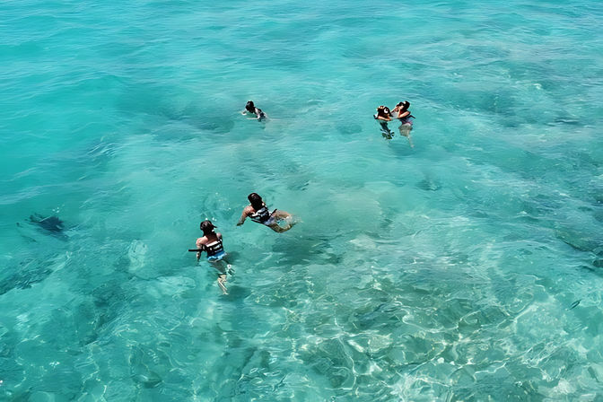 Aerial view of snorkelers in clear turquoise tropical water, wearing life vests and floating above a sunlit shallow coral reef.