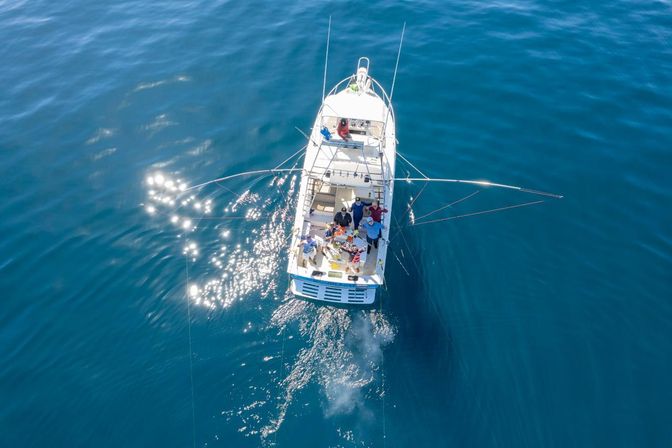 Aerial view of a white sportfishing boat in deep blue offshore waters, anglers on deck with outriggers and fishing lines cast, sunlight sparkling on the sea.
