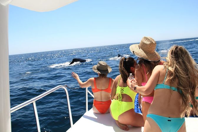 Friends in colorful swimsuits and sun hats on a boat pointing and watching humpback whales surfacing nearby in a sparkling blue ocean during a whale-watching tour