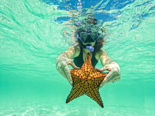 Snorkeler underwater in clear turquoise shallow water holding a vibrant spiny orange starfish toward the camera