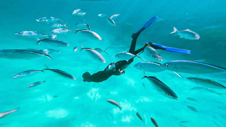 Snorkeler with blue fins gliding through crystal-clear turquoise water surrounded by a school of silver fish, tropical underwater scene