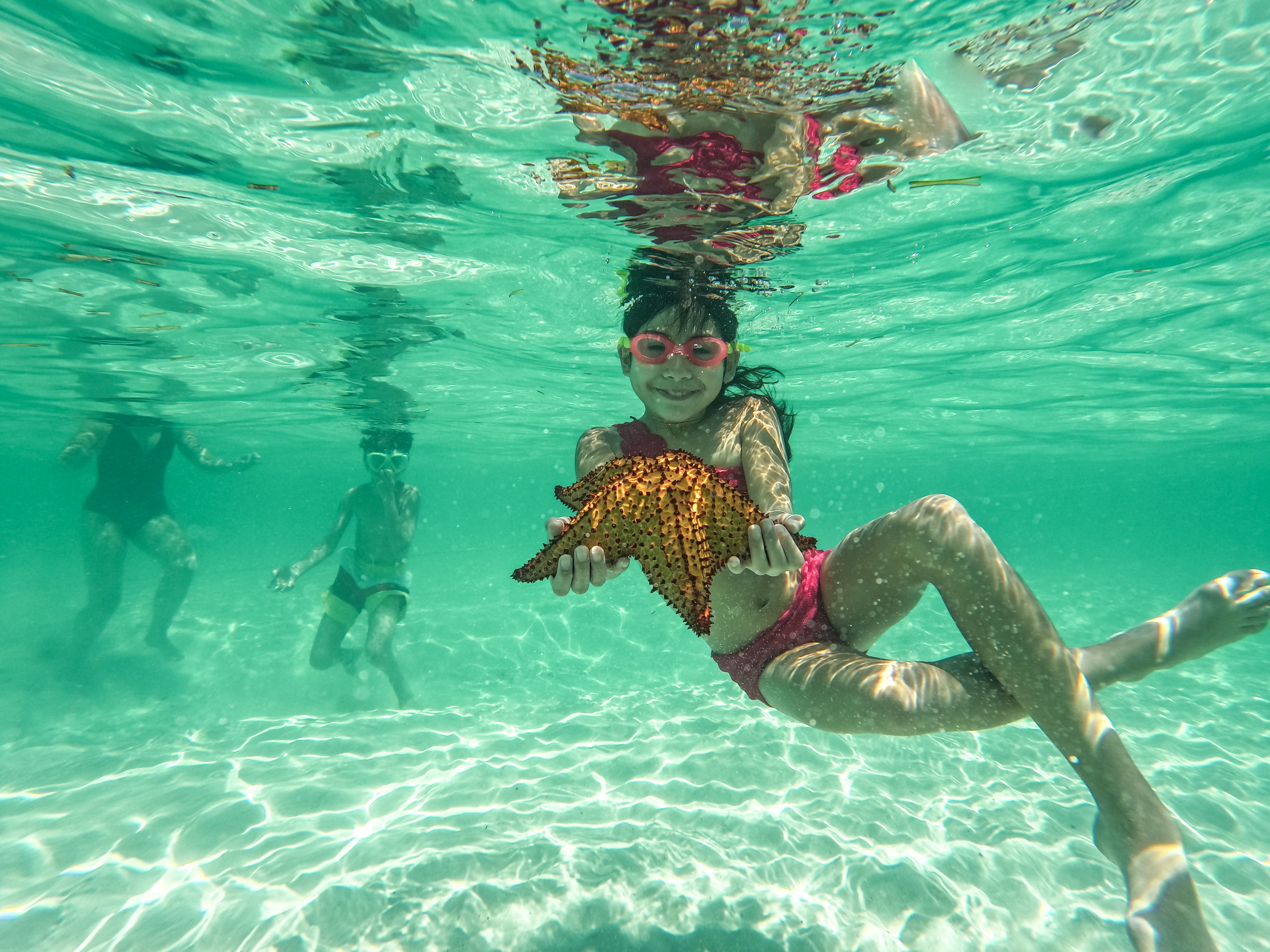 Grinning child in pink goggles snorkeling in clear turquoise shallow water, holding a spiky orange-brown starfish above a sunlit sandy bottom with other swimmers in the background — tropical beach marine life scene.