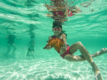 Grinning child in pink goggles snorkeling in clear turquoise shallow water, holding a spiky orange-brown starfish above a sunlit sandy bottom with other swimmers in the background — tropical beach marine life scene.