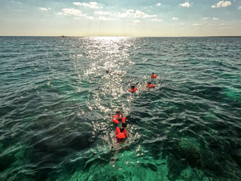 Aerial view of snorkelers in bright orange life vests paddling over clear turquoise ocean reef, sunlight sparkling on the water and a boat on the distant horizon