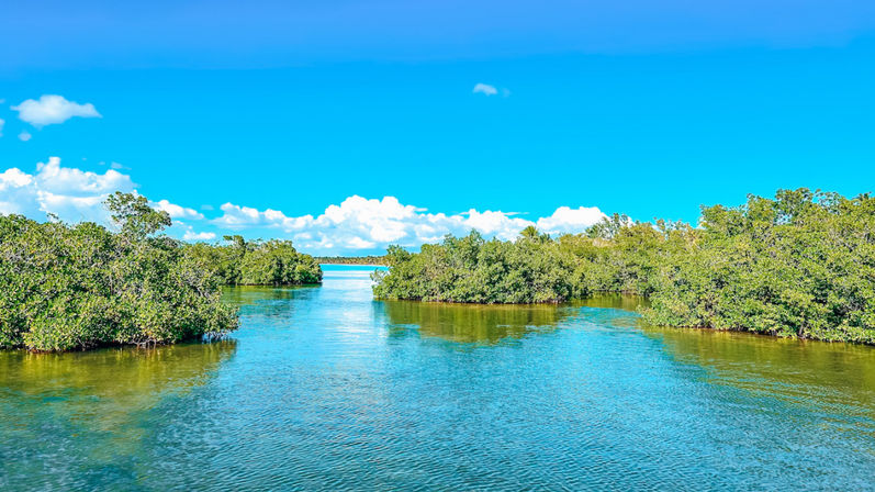 Sunlit mangrove-lined coastal inlet with turquoise water and a bright blue sky dotted with white clouds